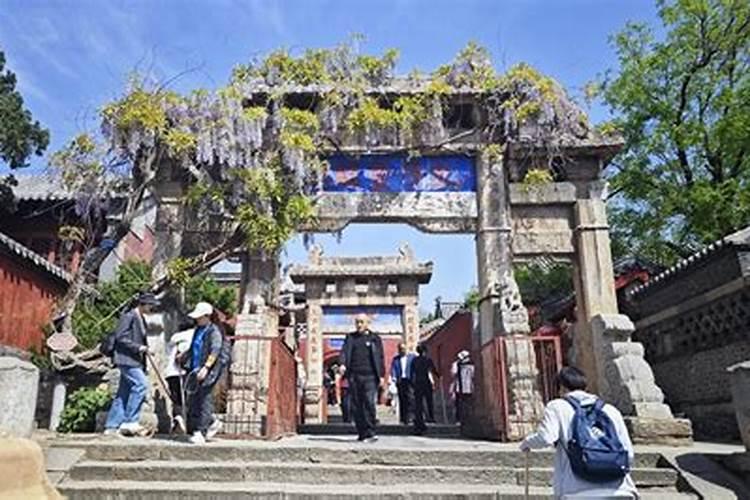 梦见老鼠扑上来咬自己是什么意思