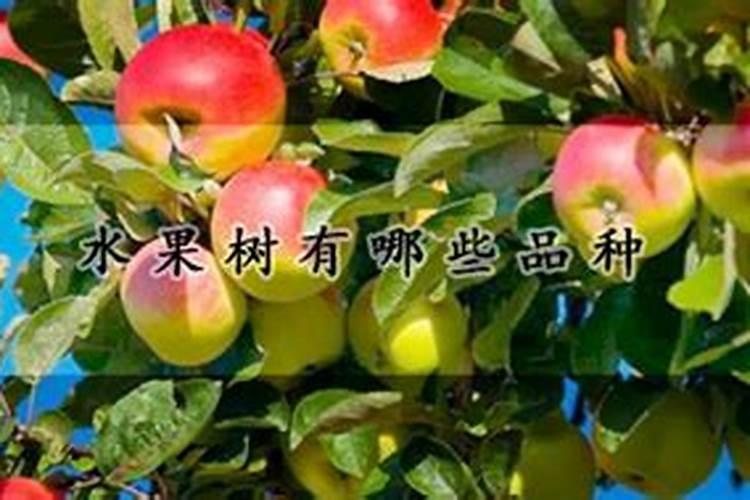 财神节贡品一般都怎么摆 心诚则灵寓意为佳