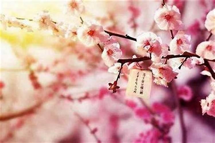 带什么可以招桃花运