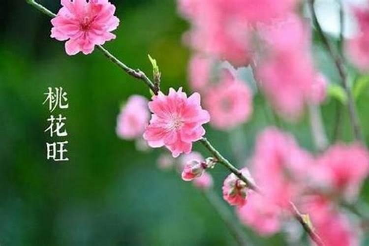 佩戴什么能旺桃花运佩戴啥能旺桃花运