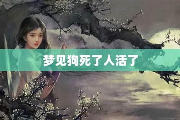 梦见狗死了又活了的预兆