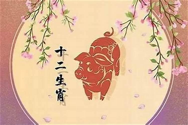 九五年的猪今年婚姻如何