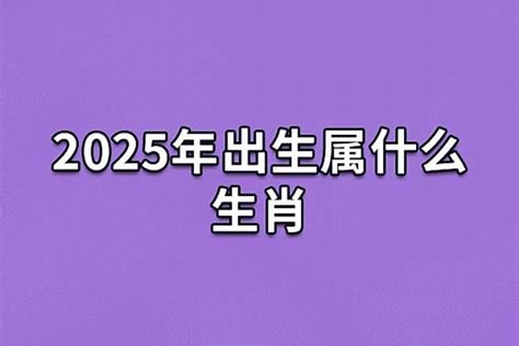 2025年桃花运遇到真爱的生肖