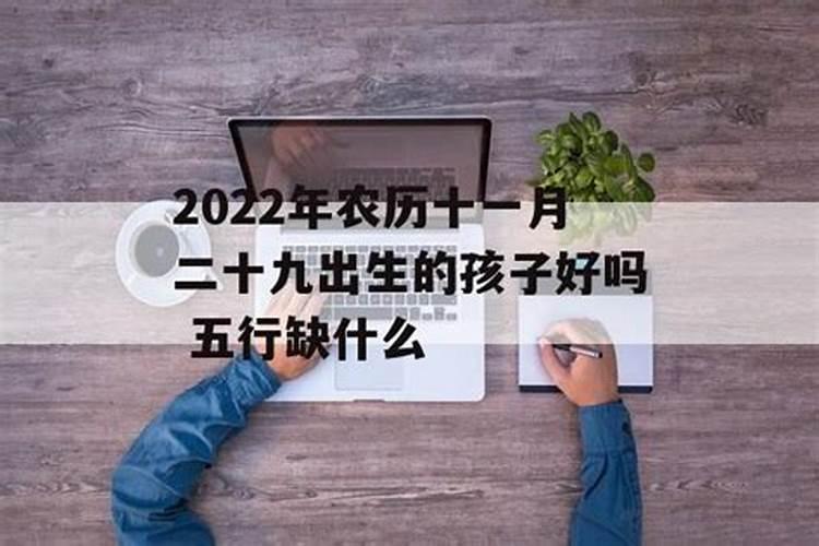 1987年农历十一月十二中午12点半出生是什么命？
