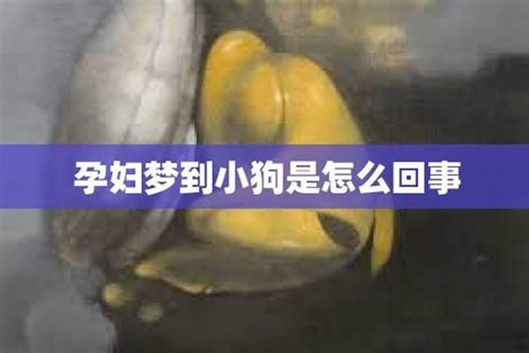 十月初一寒衣节阳历几号