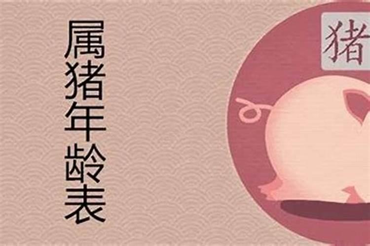 属猪的多大了