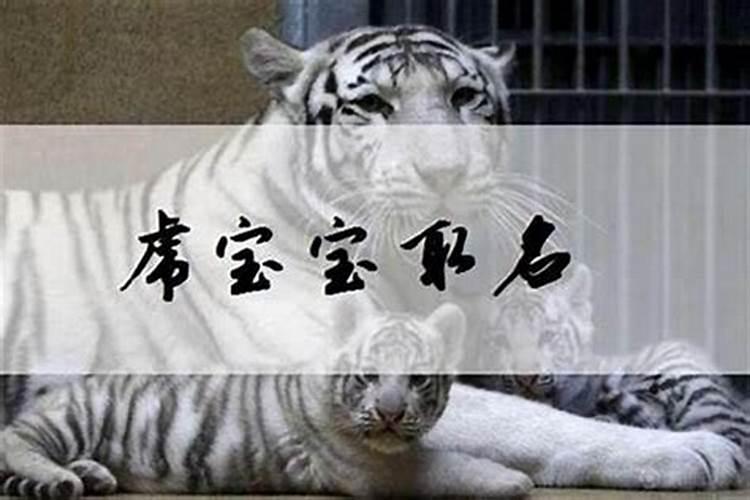 生肖猴1992年2025年运势如何 生肖猴1992年2025年全年运势