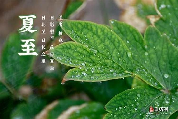 1992年属猴的2025全年运势如何