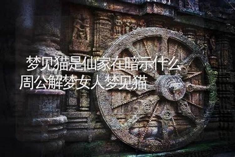 梦见女鬼被吓醒的预兆