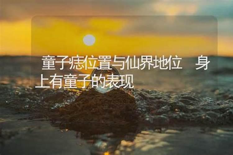 算命说的童子是什么意思