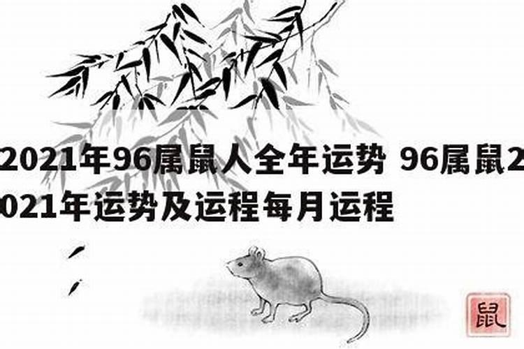 生肖鼠1996年2025年运势如何 生肖鼠1996年2025年全年运势