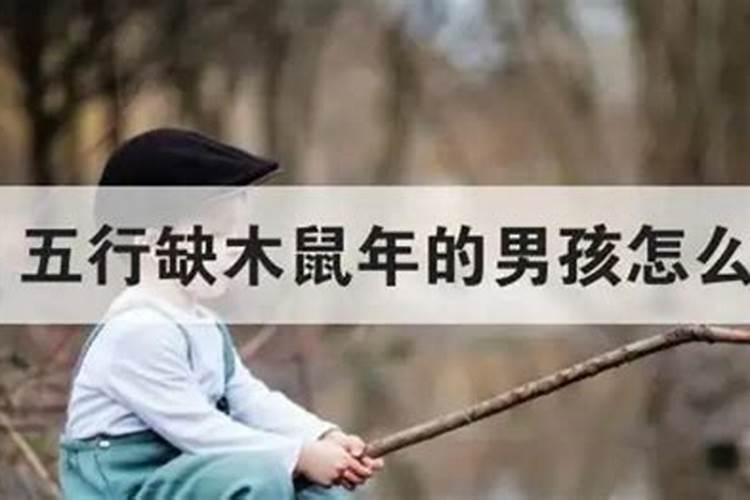 五行缺木最旺的男孩名字
