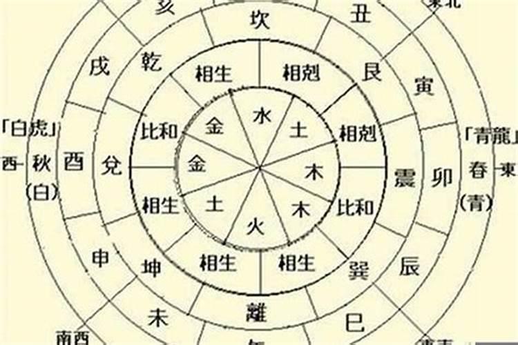 大运看天干还是地支