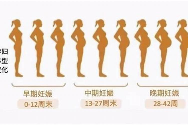 2022年立夏生虎宝宝几月怀孕？立夏的特点和意义