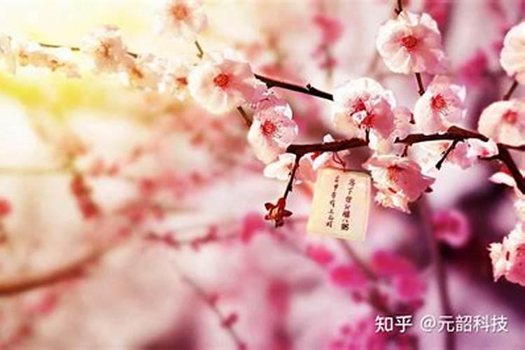 斩断烂桃花最灵的方法,如何斩断自身烂桃花
