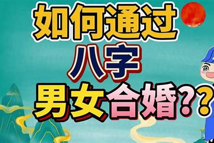 两个人八字合不合怎么看
