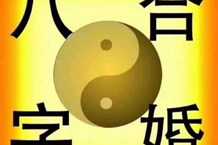 1982年属什么生肖