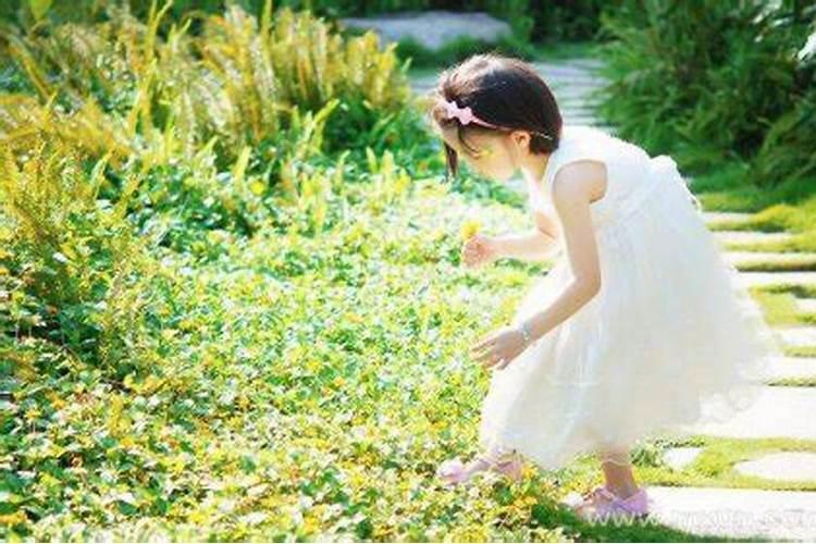 属兔女和属猴男的婚姻配吗