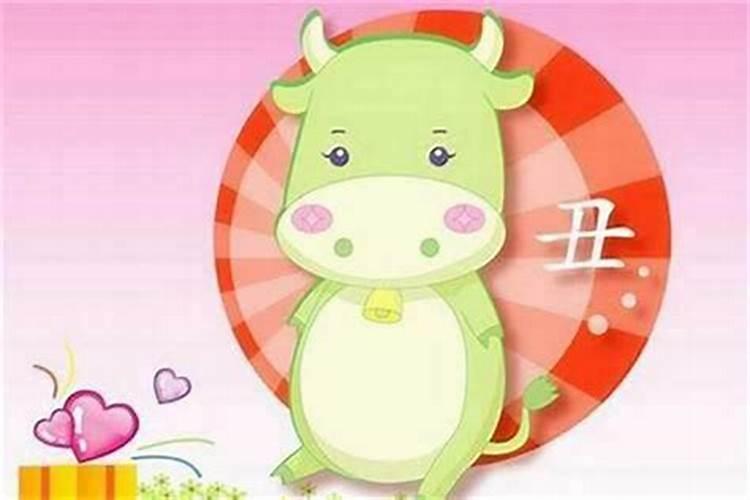 1998农历9月19是纯阴吗