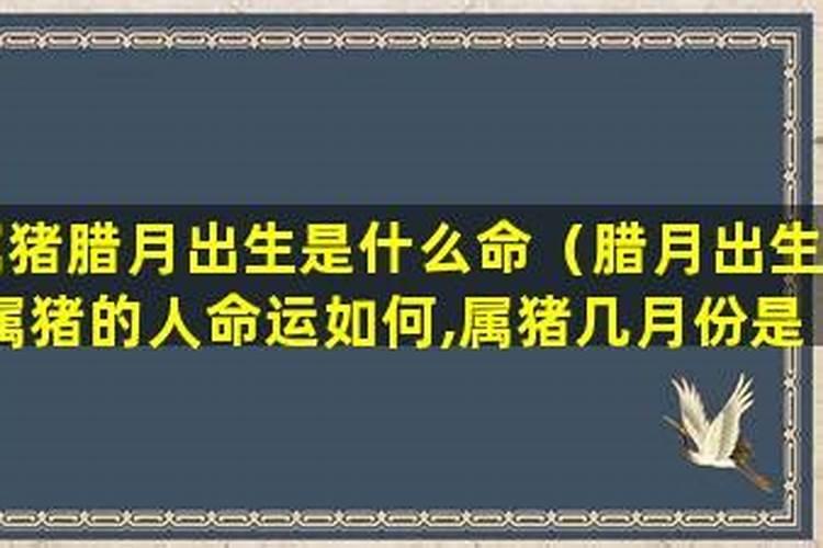 属羊男一生的命运和婚姻介绍