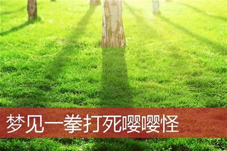 一晚上做了好多奇奇怪怪的梦