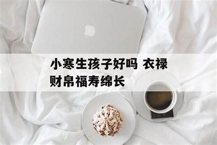 96年属鼠女的和什么属相最配96女鼠配什么生肖最好