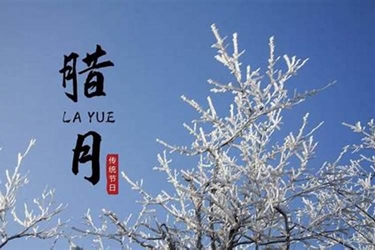 九六年属鼠的女孩性格,1996年属鼠女什么命