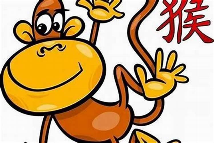 农历5月出生属猴人命好吗