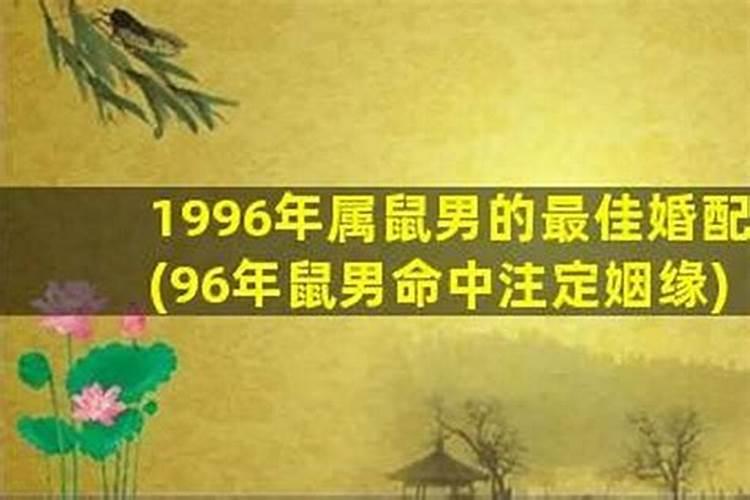 婚姻预测:94狗女和96鼠男的婚姻合适吗？
