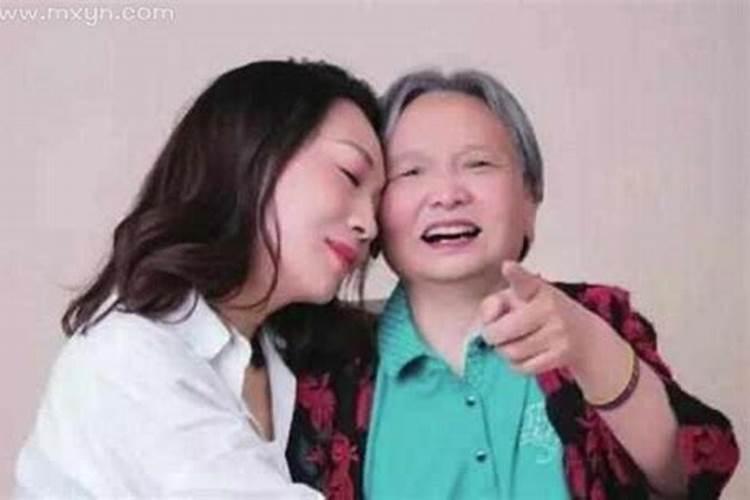 领导办公室放什么植物风水好？