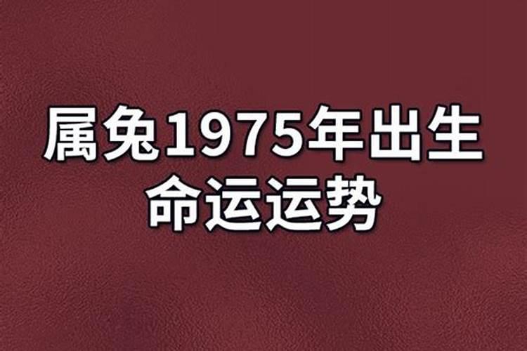 1975年的兔2025年运势