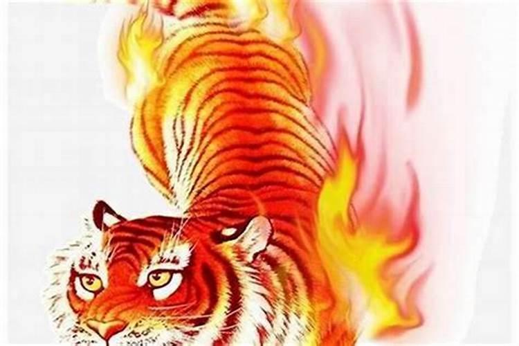 属虎2025年运势解析