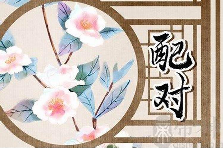 属鼠的人和什么属相是最配的？