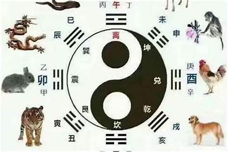 2001年属蛇女和什么最配选择伴侣看属相