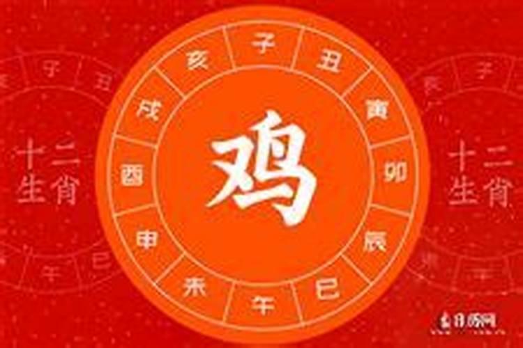 属鸡人2025全年运势 属鸡人2025年每月运势