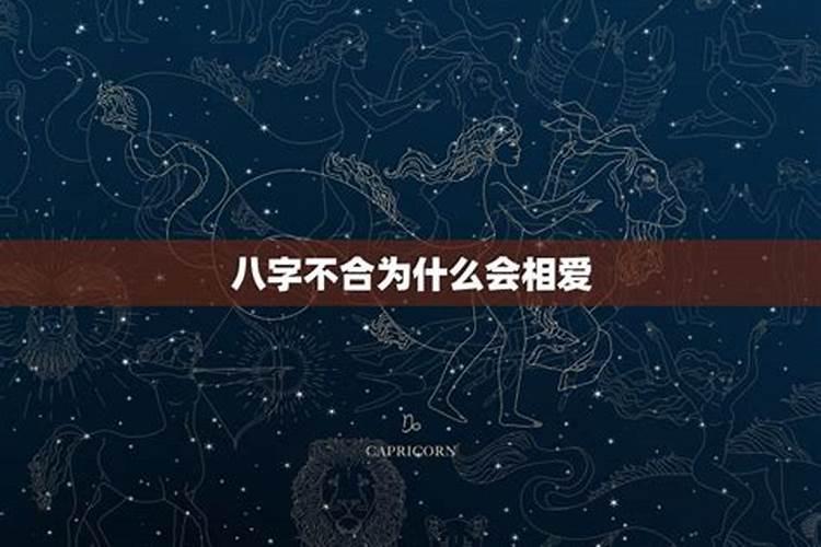 为何八字相冲却容易相爱 (转载)