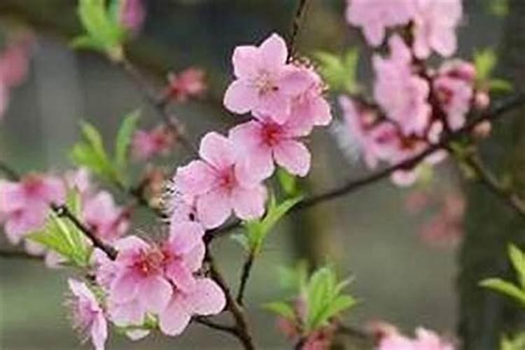 如何斩断老公的烂桃花
