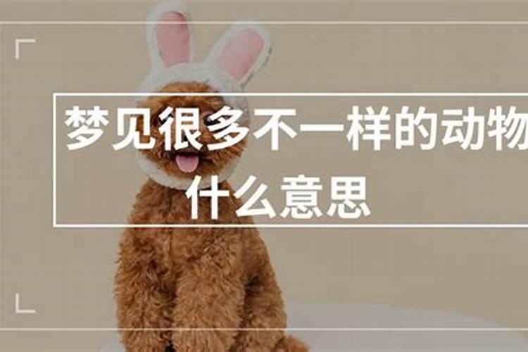 婚配八字怎么看合婚 八字合婚中的婚配等级？