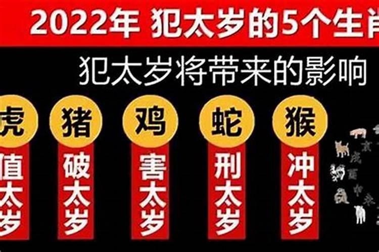 本命年蛇年犯太岁怎么化解