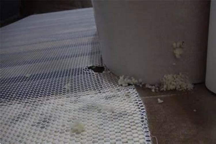 梦见和仇人吵架是什么意思