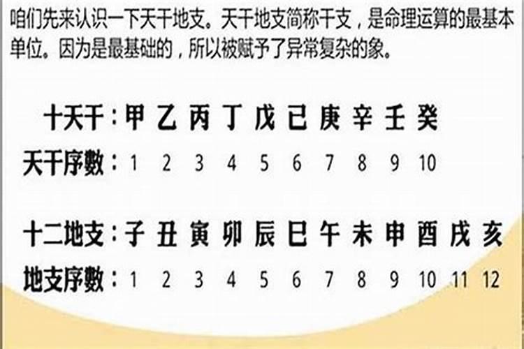 算命的话能信吗