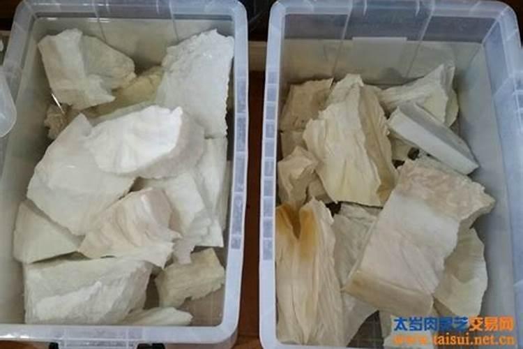 太岁能治病么