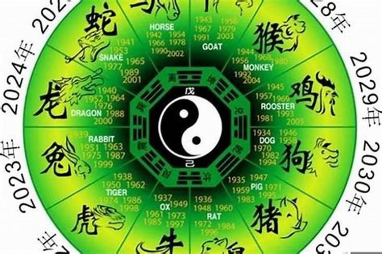 2025年12生肖运势解析