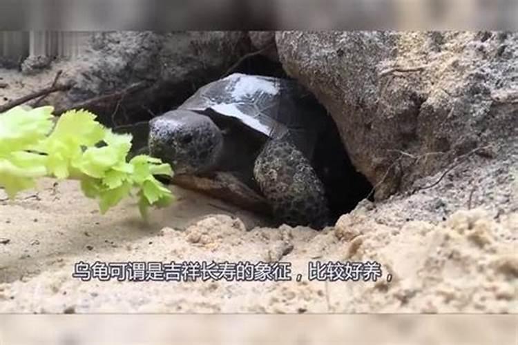 清明节缅怀先烈的作文