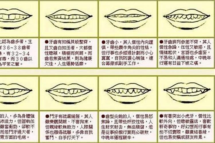 牙齿小的人命运怎么样