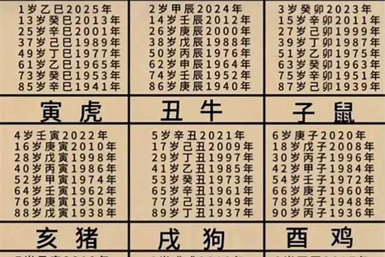 77年的蛇2025年运势和财运怎么样