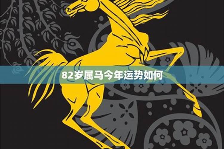 属马30岁运气属马30岁各运势如何