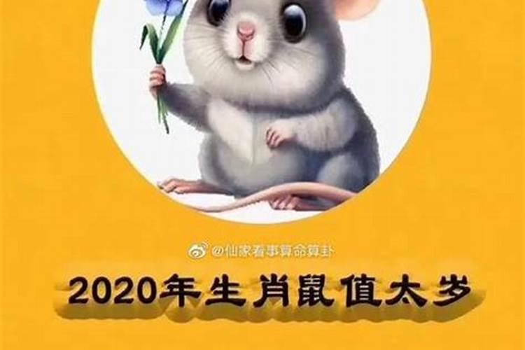 84年鼠2025年属鼠人的全年运势
