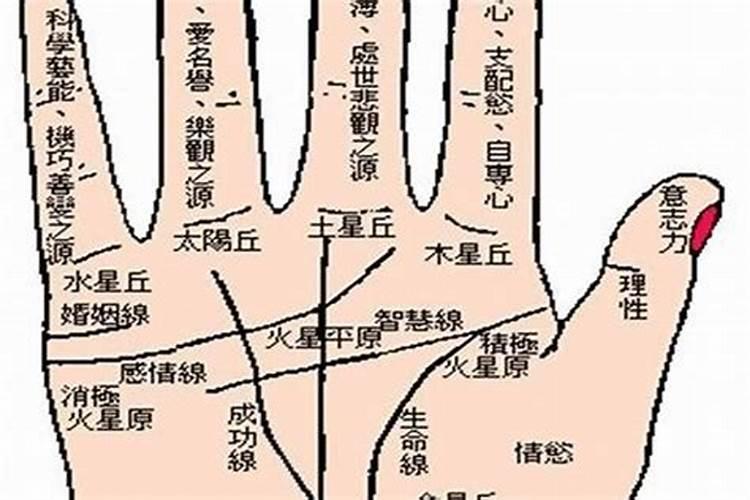 2025属蛇本命年注意什么 属蛇人适合在哪年结婚