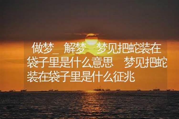 梦见抓了很多蛇用袋子装着的预兆